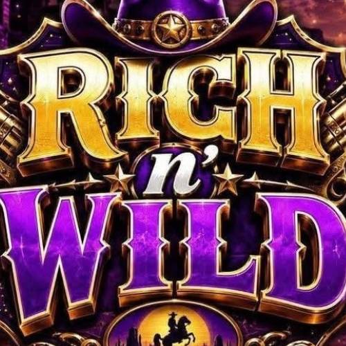 Download the RichnWild Casino app